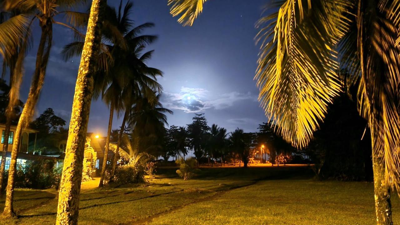 Wildlife Art Tortuguero Otel Dış mekan fotoğraf