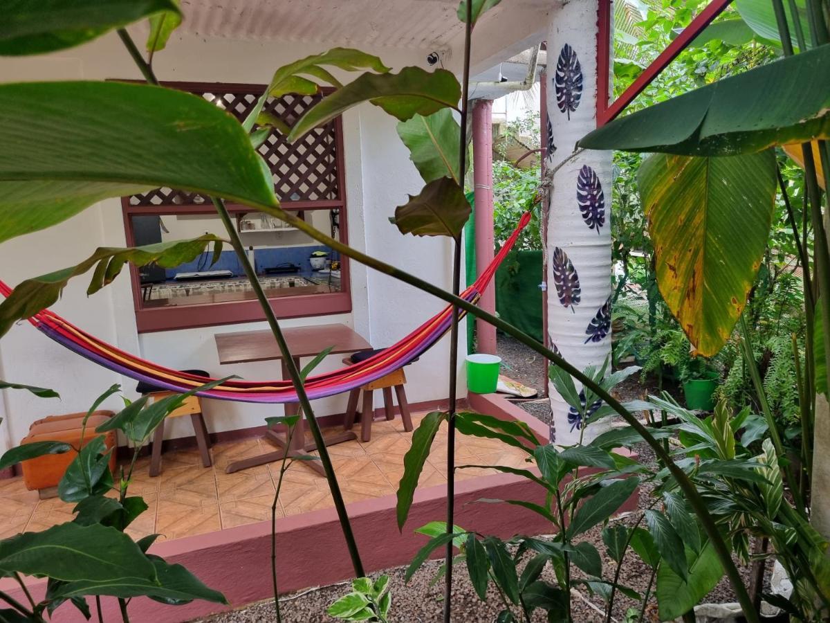 Wildlife Art Tortuguero Otel Dış mekan fotoğraf