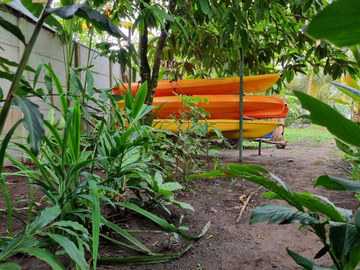 Wildlife Art Tortuguero Otel Dış mekan fotoğraf