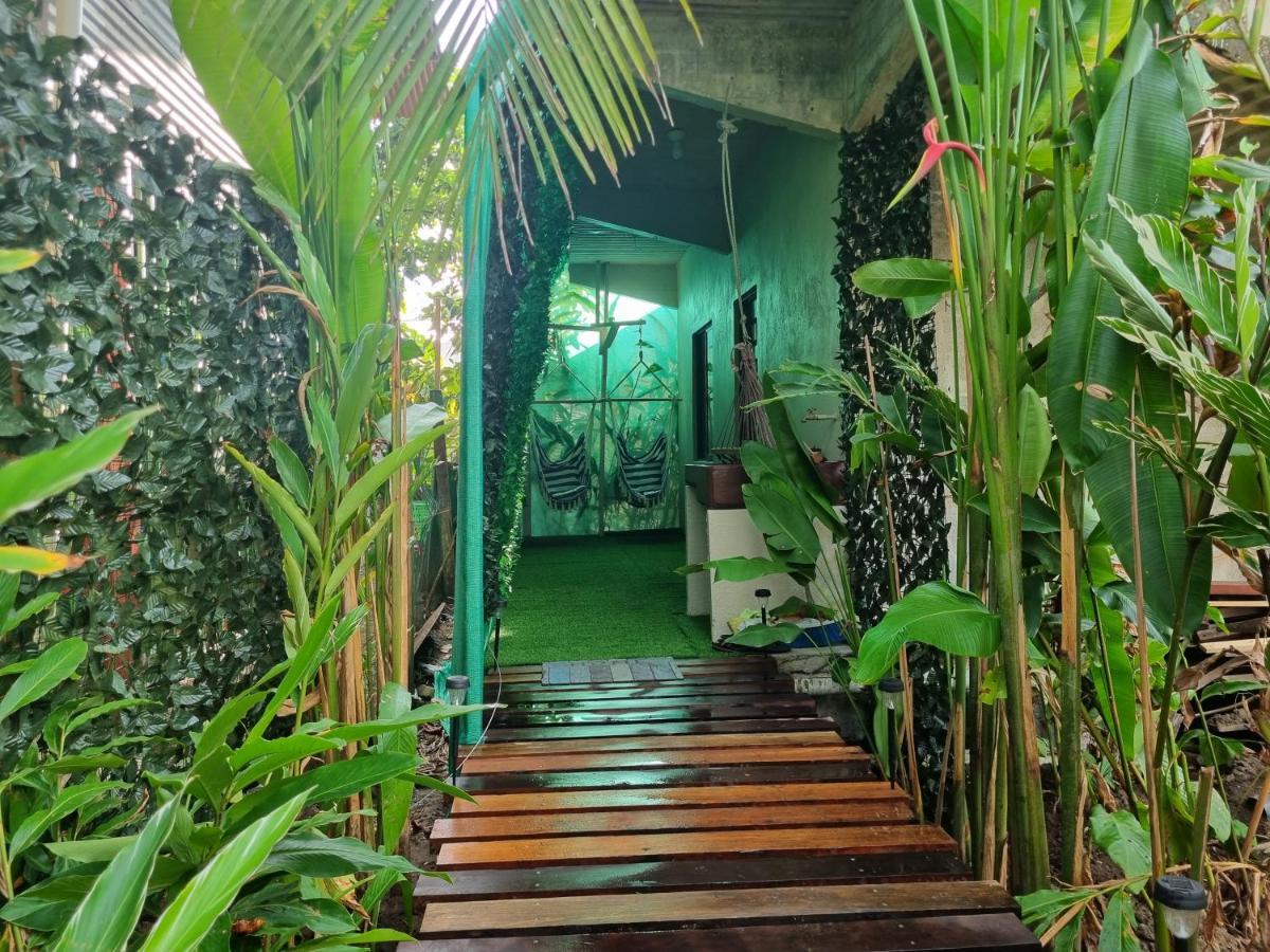 Wildlife Art Tortuguero Otel Dış mekan fotoğraf