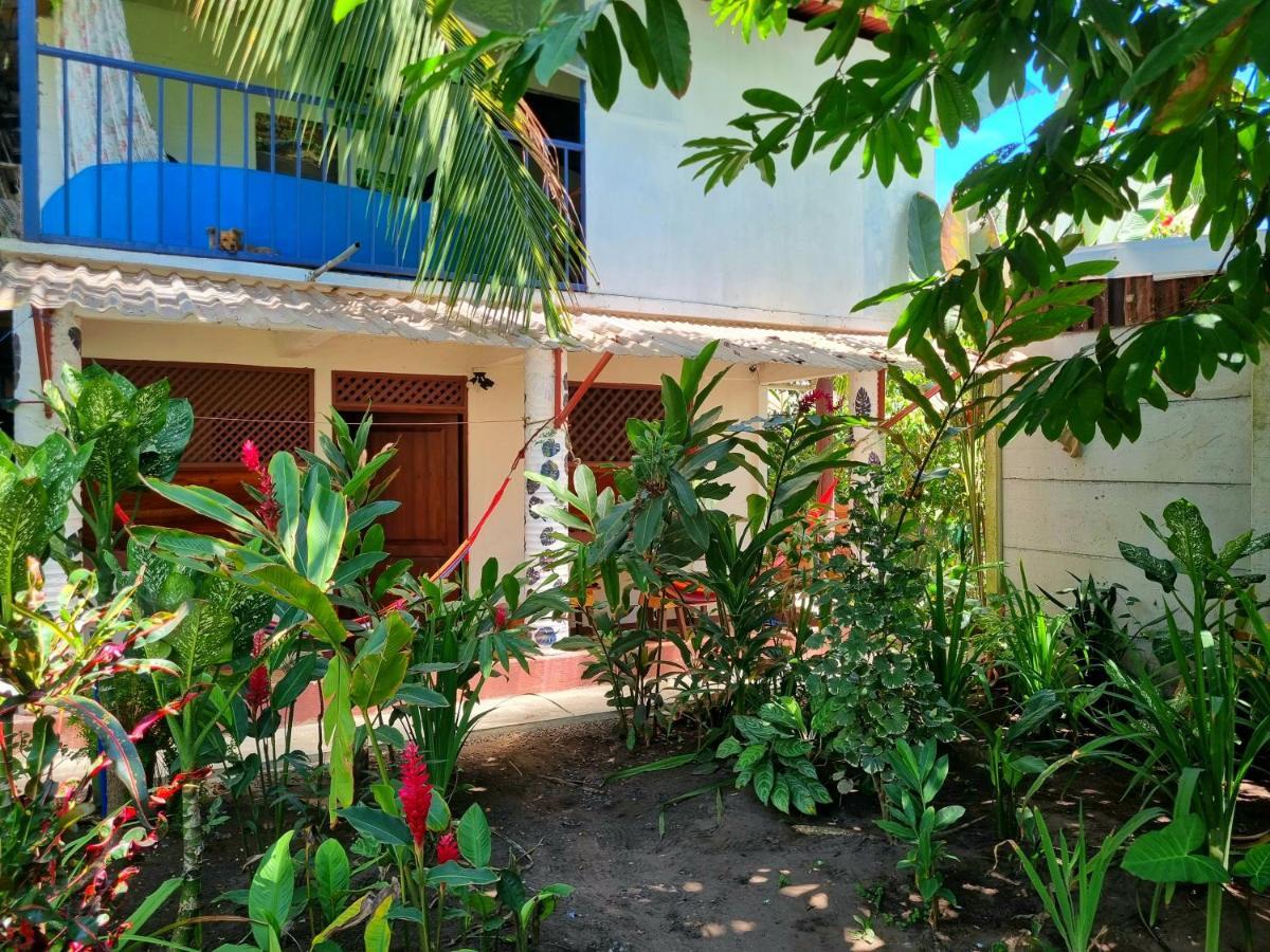 Wildlife Art Tortuguero Otel Dış mekan fotoğraf