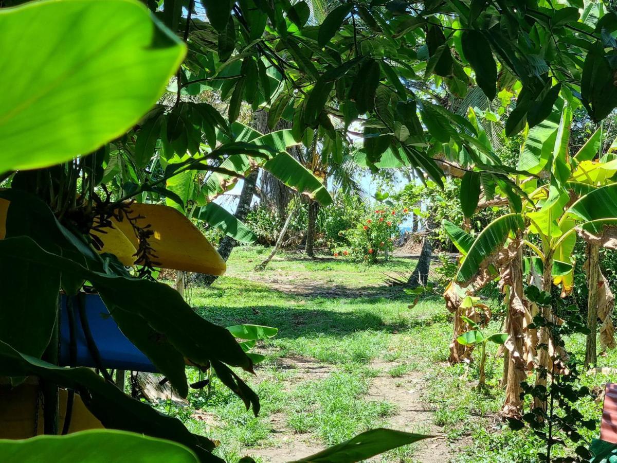 Wildlife Art Tortuguero Otel Dış mekan fotoğraf