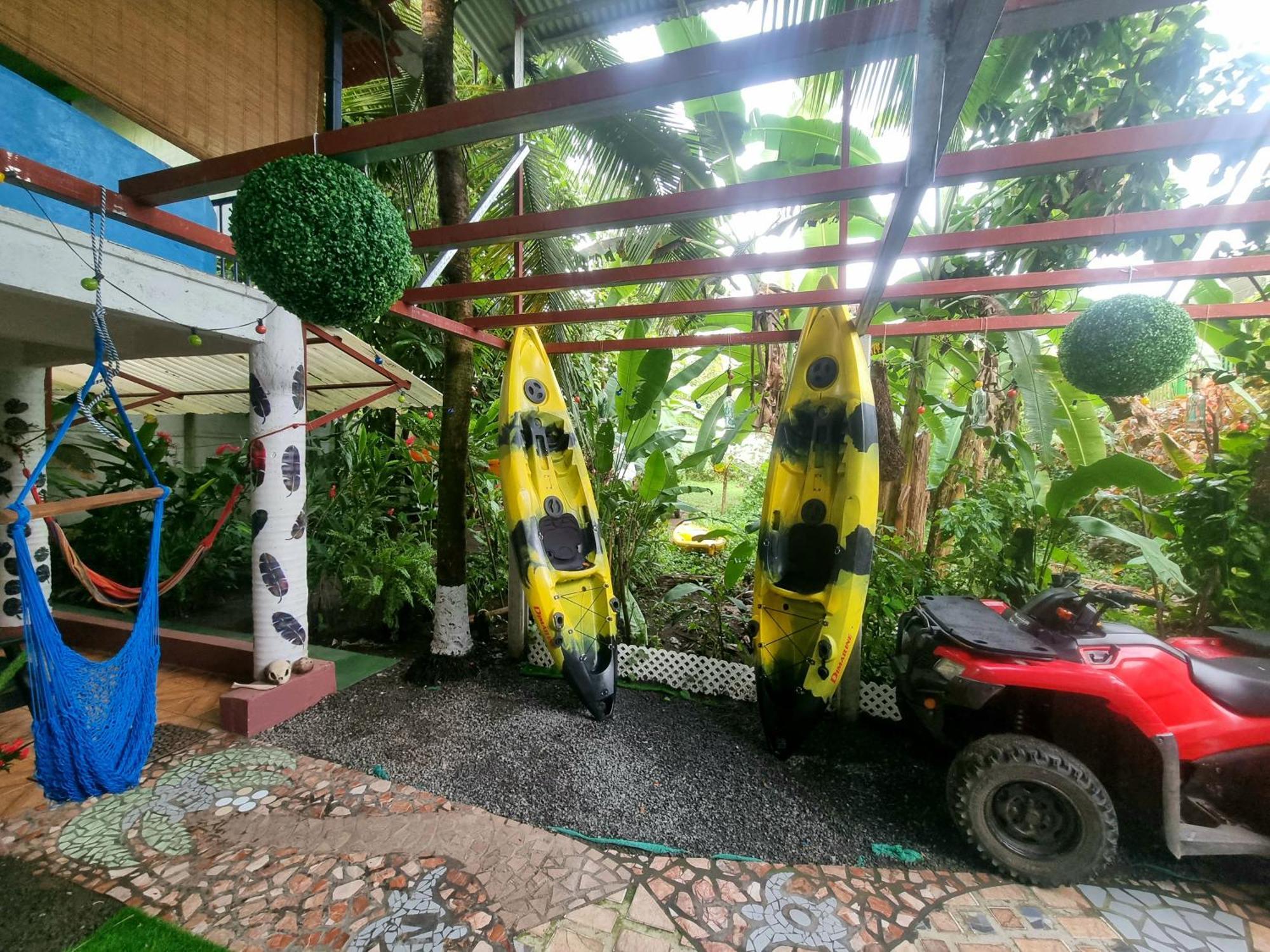 Wildlife Art Tortuguero Otel Dış mekan fotoğraf