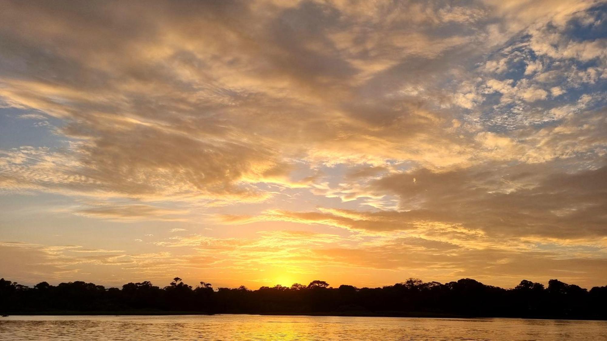 Wildlife Art Tortuguero Otel Dış mekan fotoğraf