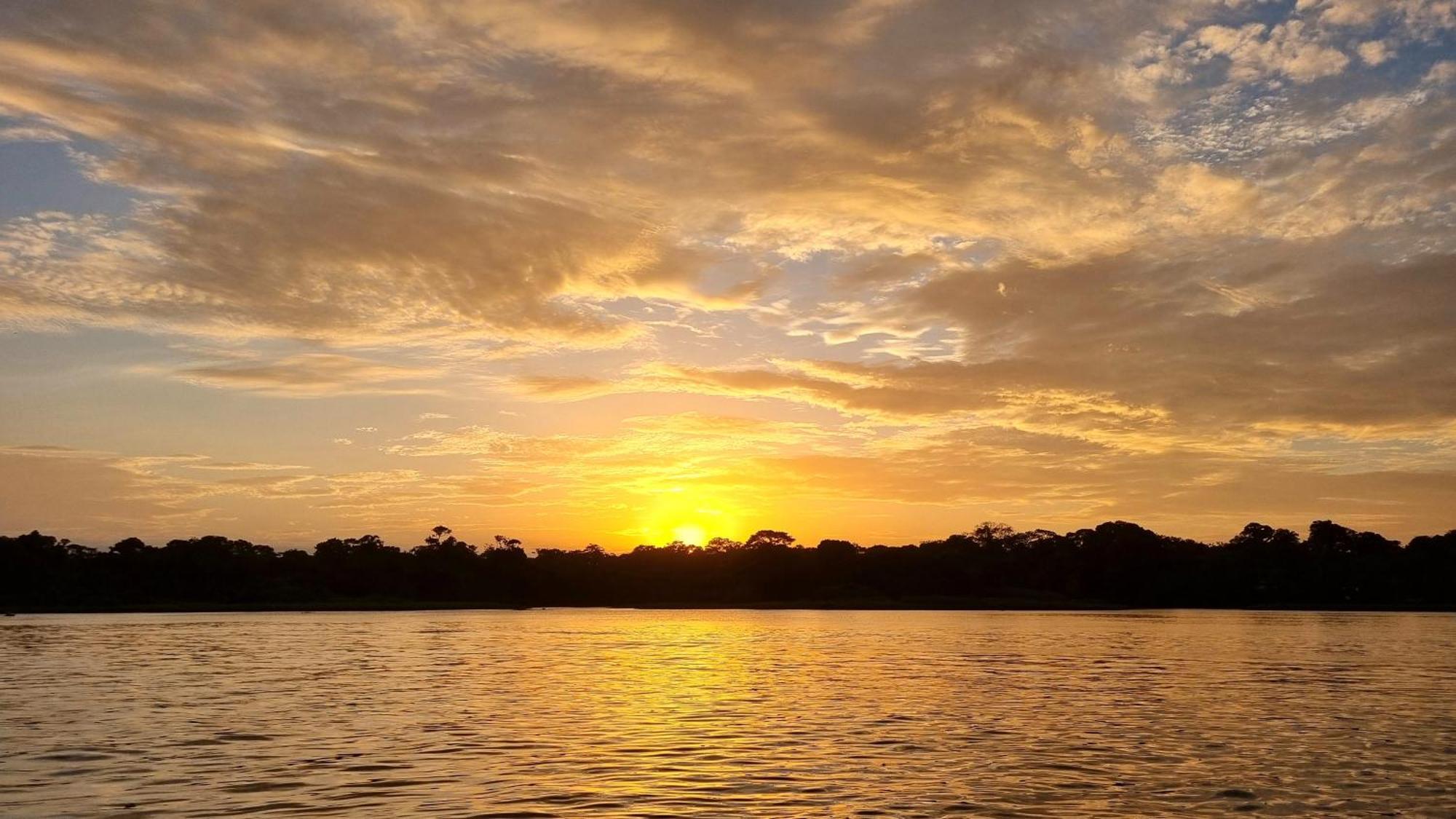 Wildlife Art Tortuguero Otel Dış mekan fotoğraf