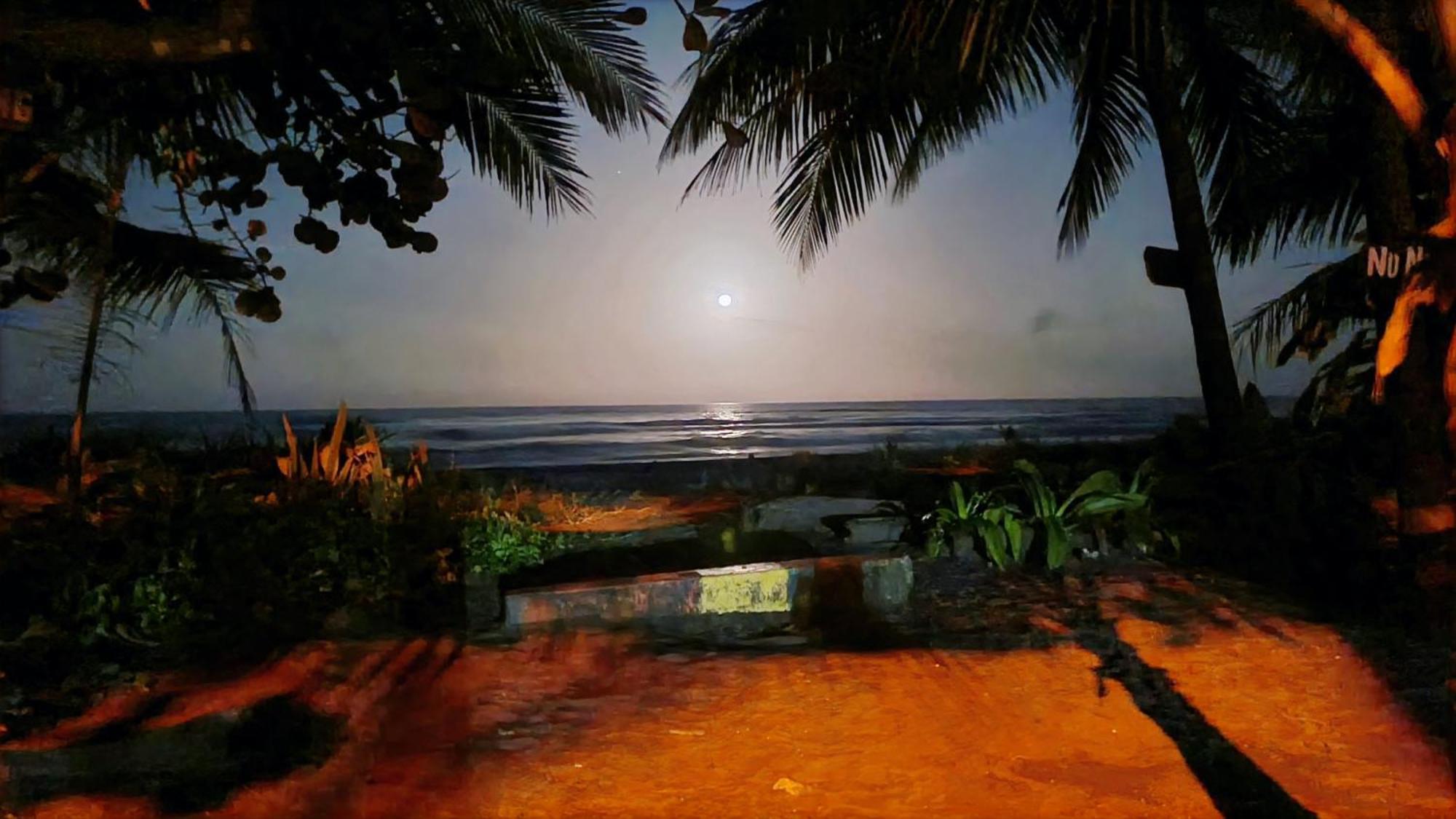 Wildlife Art Tortuguero Otel Dış mekan fotoğraf
