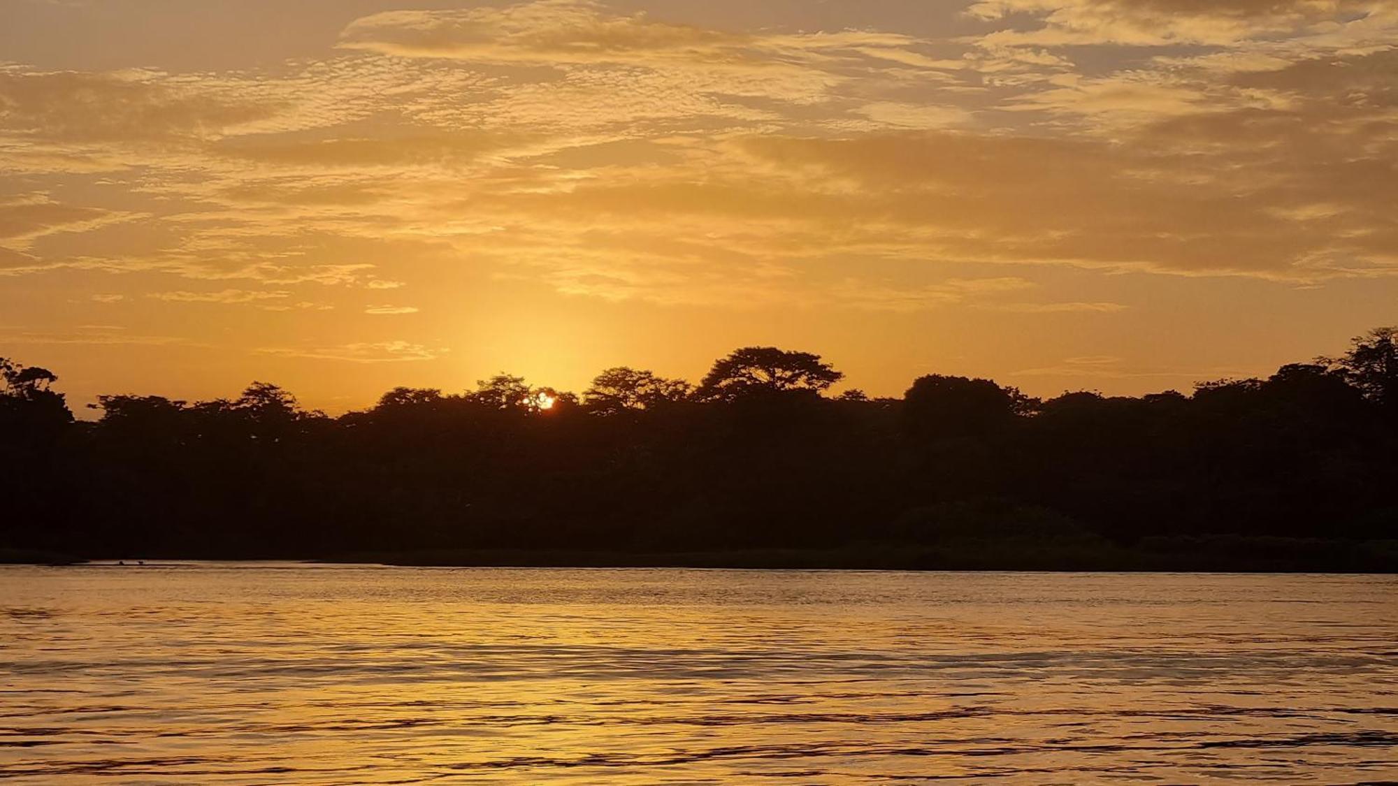 Wildlife Art Tortuguero Otel Dış mekan fotoğraf