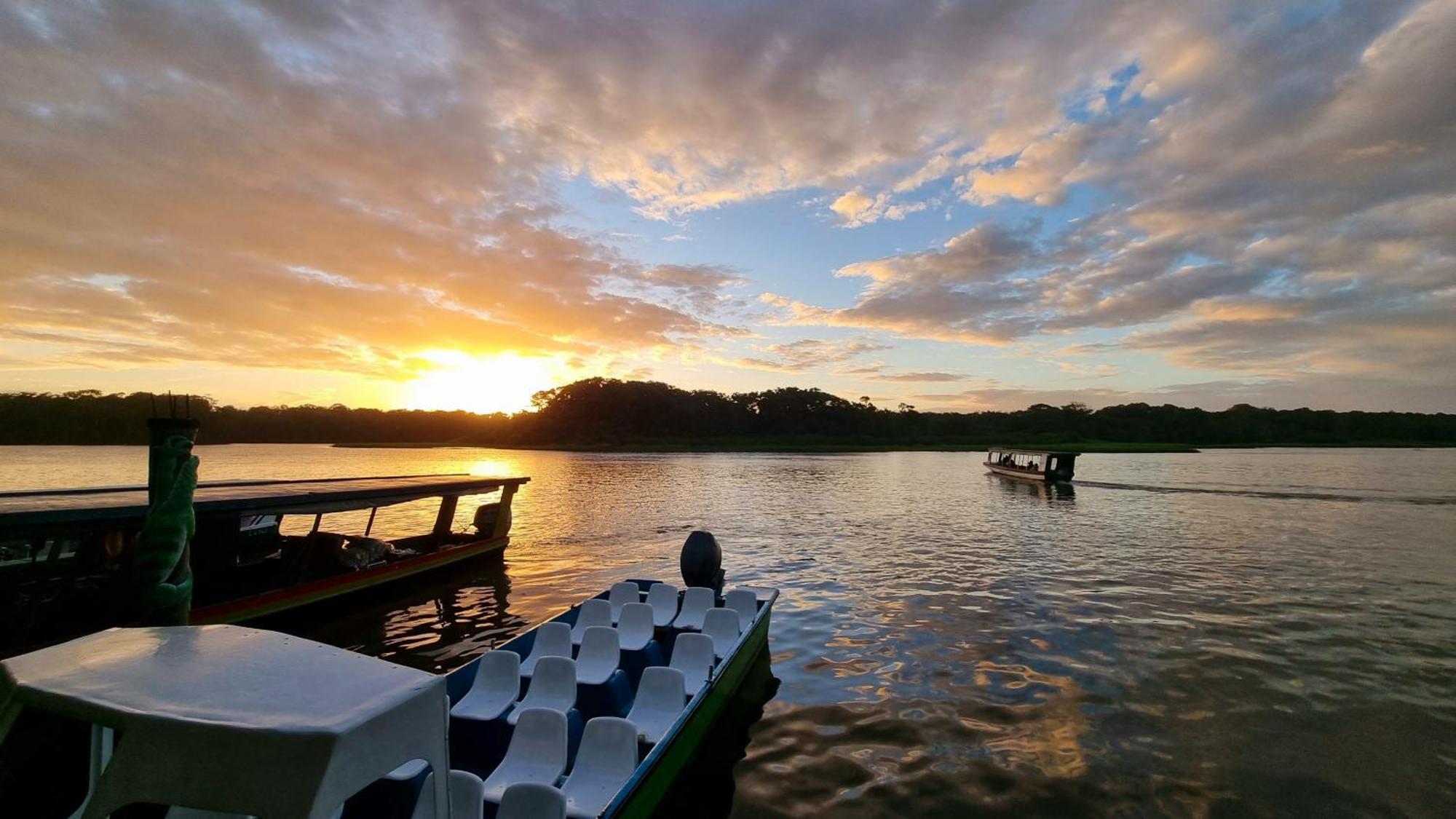 Wildlife Art Tortuguero Otel Dış mekan fotoğraf