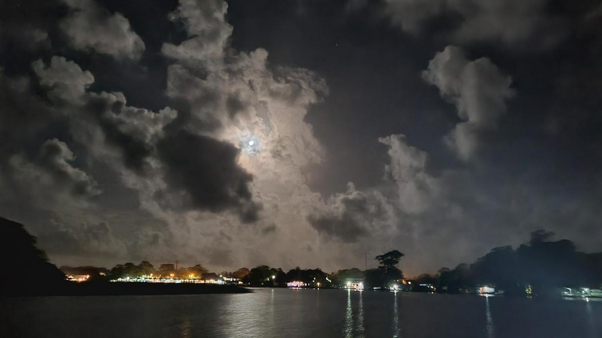 Wildlife Art Tortuguero Otel Dış mekan fotoğraf