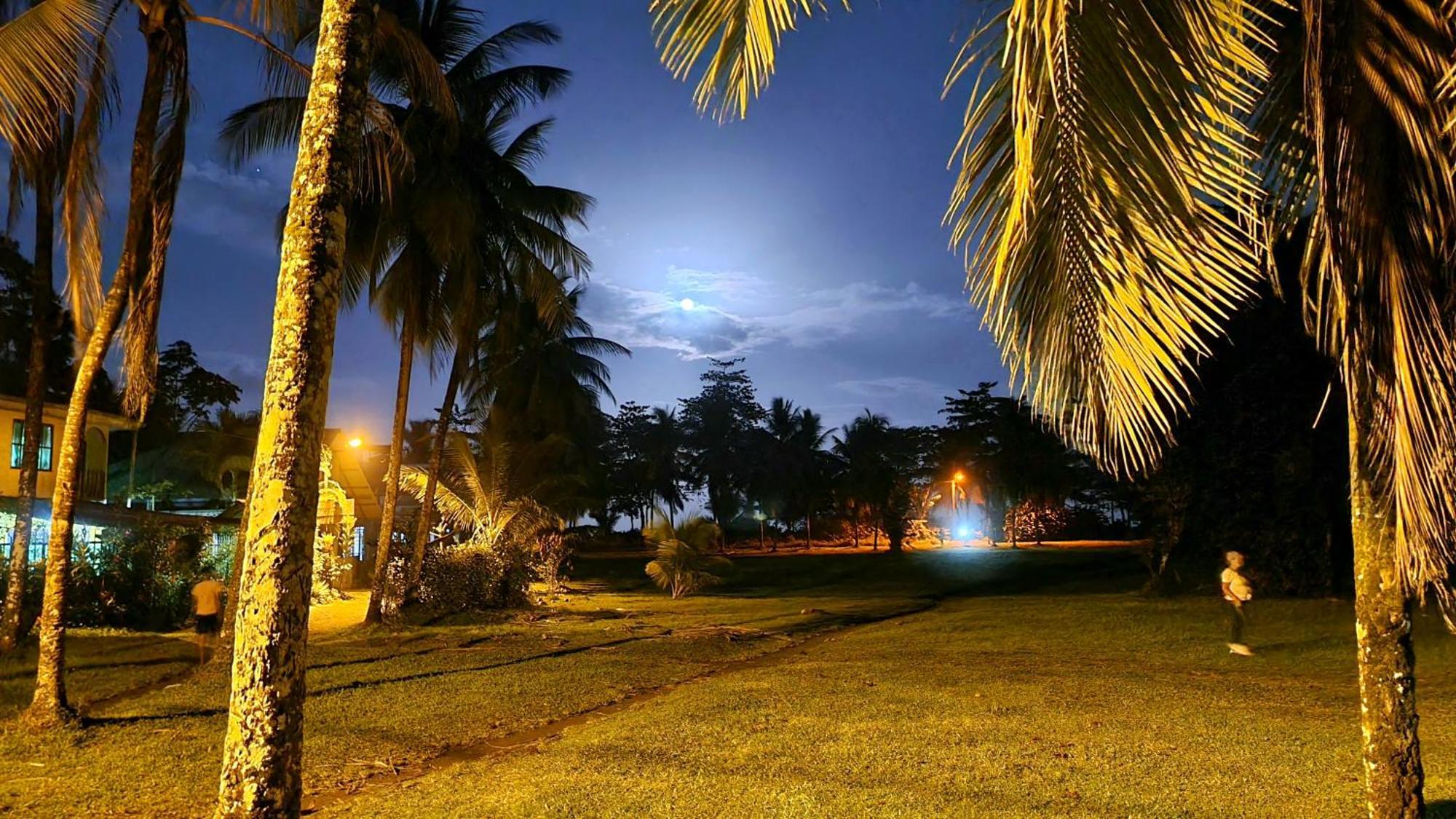 Wildlife Art Tortuguero Otel Dış mekan fotoğraf