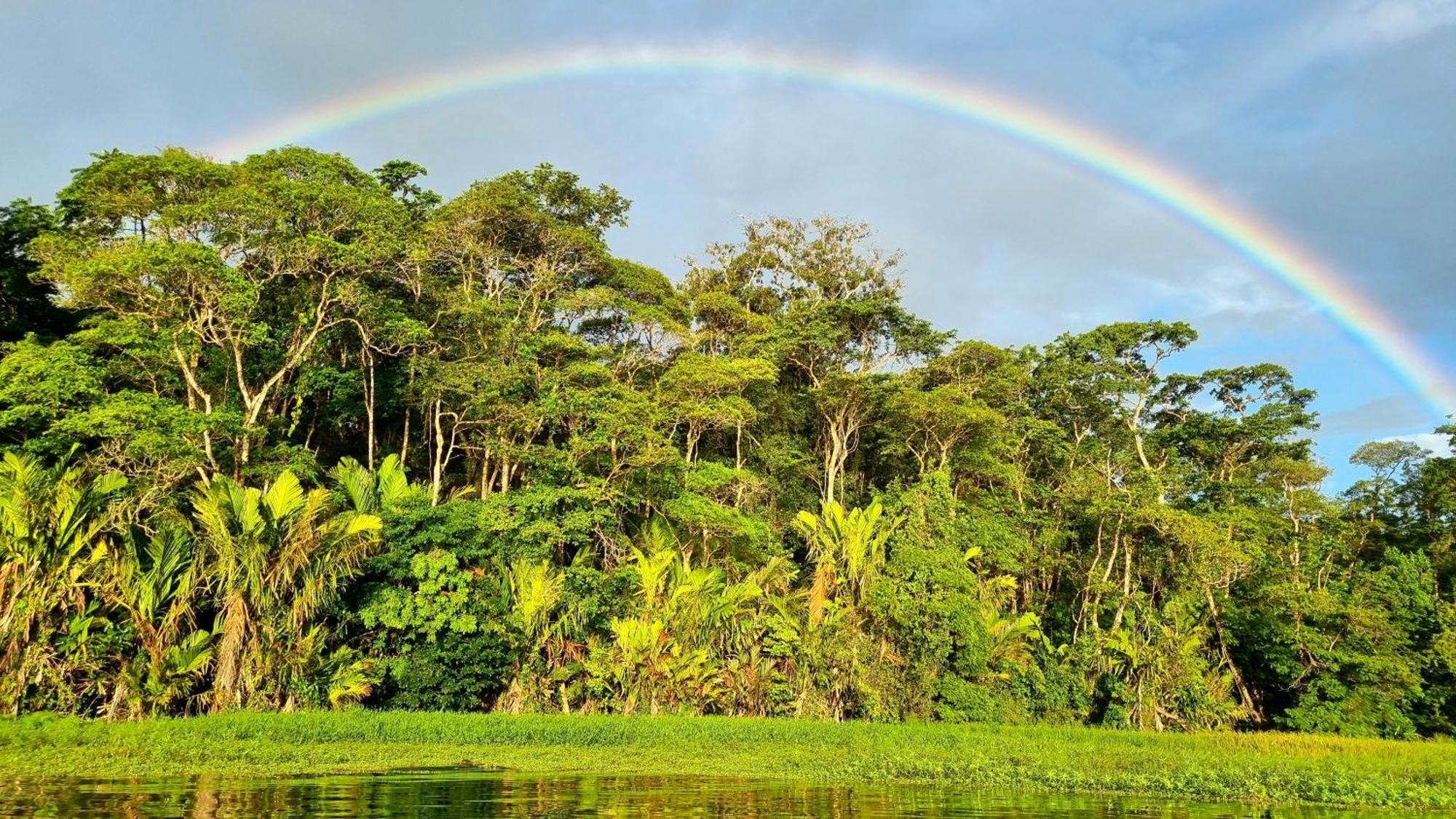 Wildlife Art Tortuguero Otel Dış mekan fotoğraf